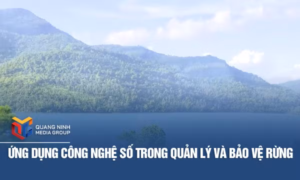 Ứng dụng công nghệ số trong quản lý và bảo vệ rừng