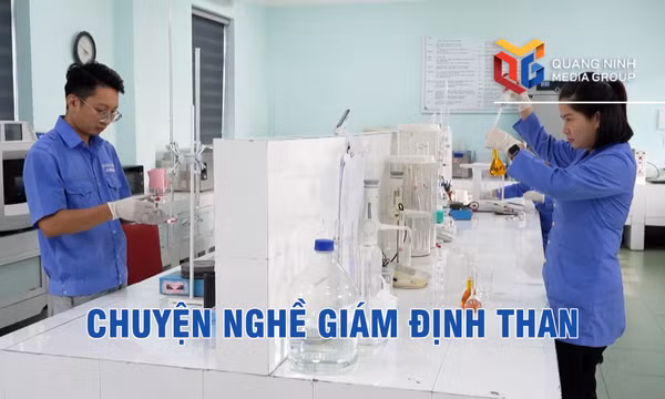 Thợ mỏ vào ca: Chuyện nghề giám định than