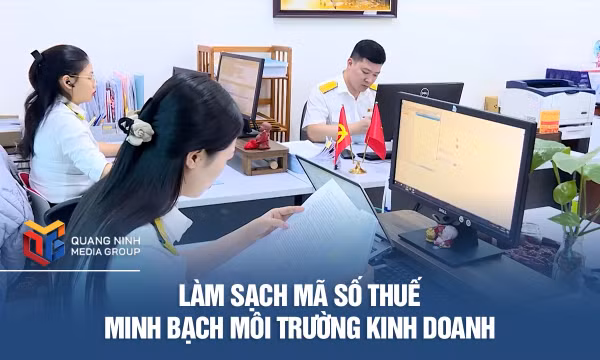 Làm sạch mã số thuế - Minh bạch môi trường kinh doanh