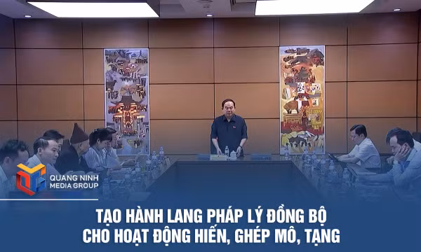 Tạo hành lang pháp lý đồng bộ cho hoạt động hiến, ghép mô, tạng