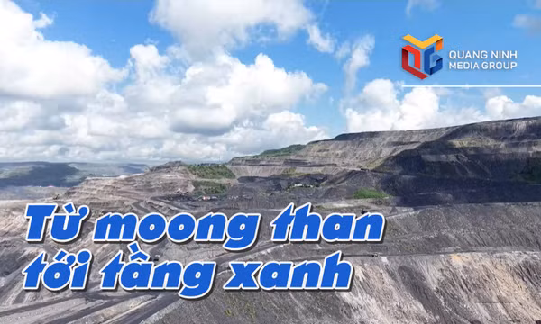 Từ moong than tới tầng xanh