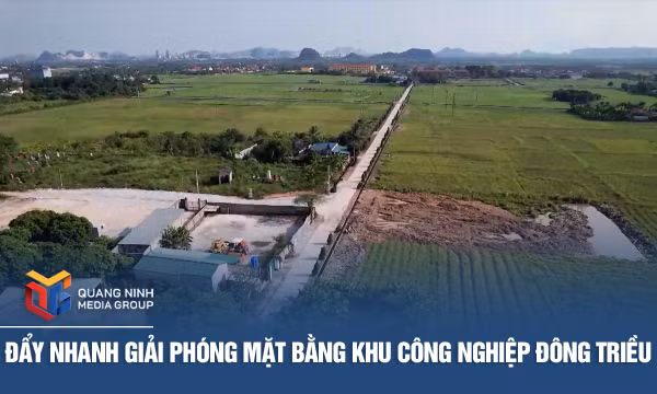 Đẩy nhanh giải phóng mặt bằng khu công nghiệp Đông Triều
