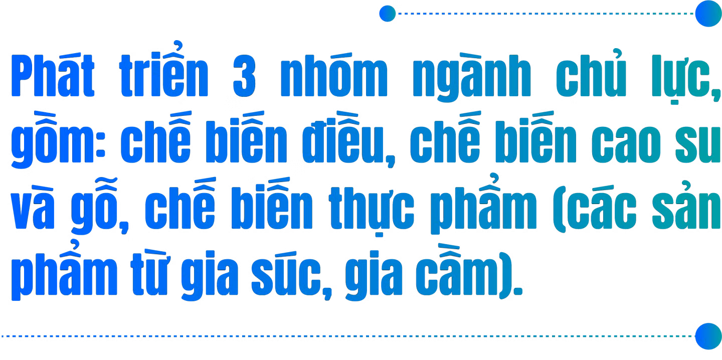 Mua nha truoc 30 tuoi o TP.HCM, Ha Noi, giac mo co xa voi? hinh anh 6