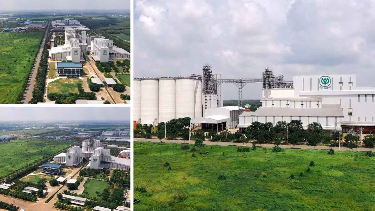 Mua nha truoc 30 tuoi o TP.HCM, Ha Noi, giac mo co xa voi? hinh anh 1