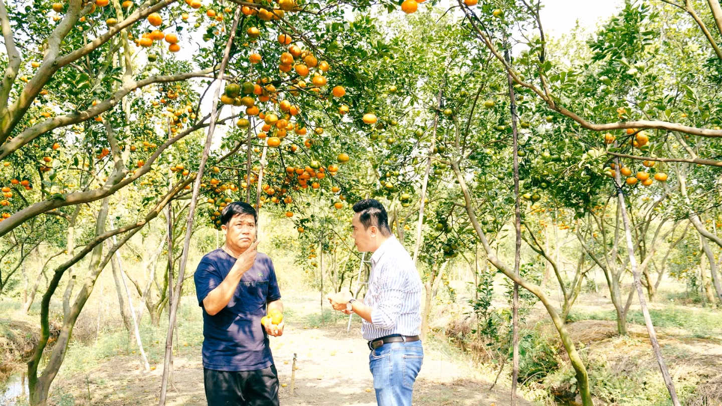 Mua nha truoc 30 tuoi o TP.HCM, Ha Noi, giac mo co xa voi? hinh anh 1