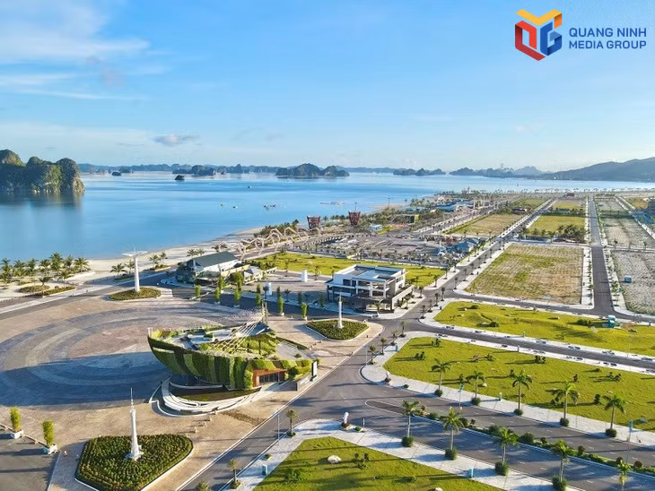 bqn_tr_phuong-dong.jpg