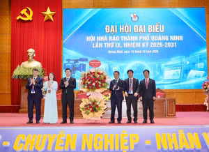 Ảnh 2