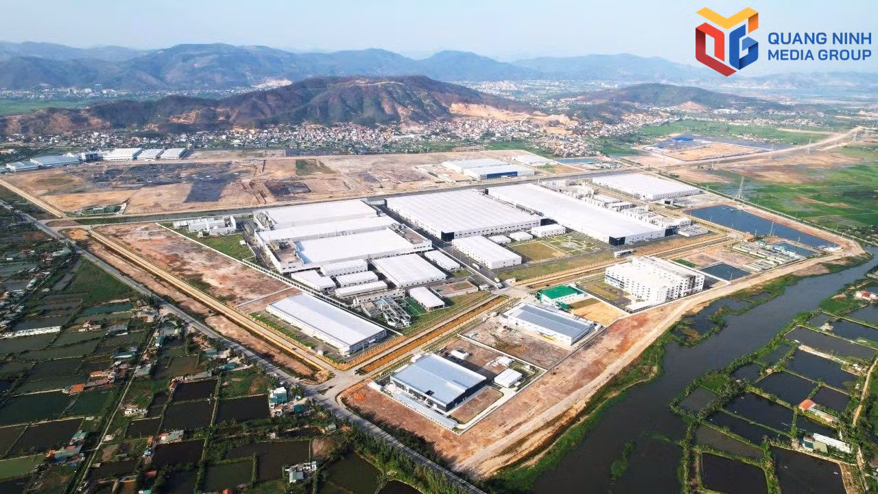 bqn_tr_anh-2.jpg