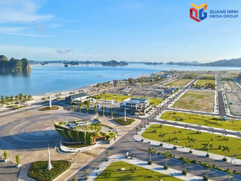 bqn_tr_phuong-dong.jpg