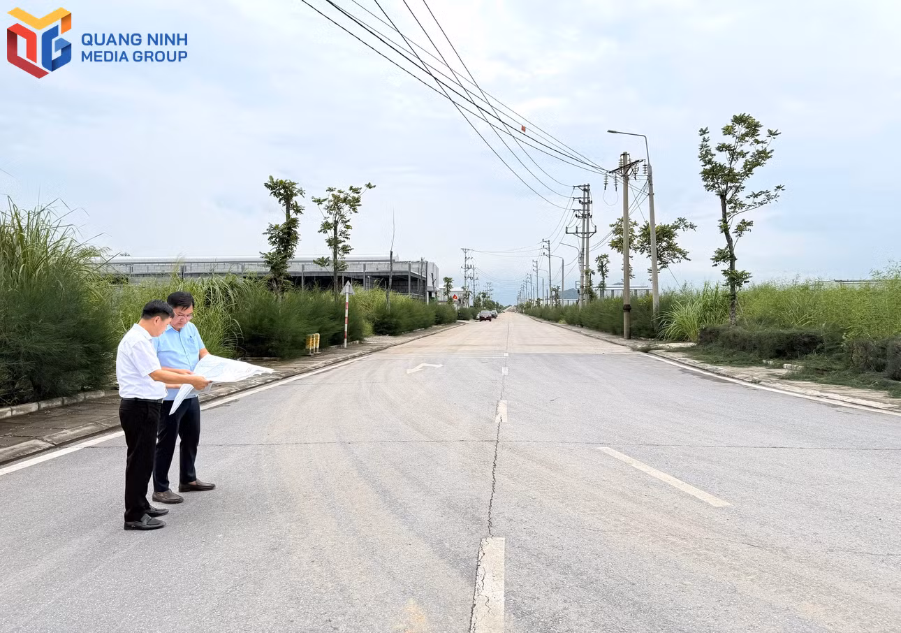 bqn_tl_ccn-phuong-nam.jpg