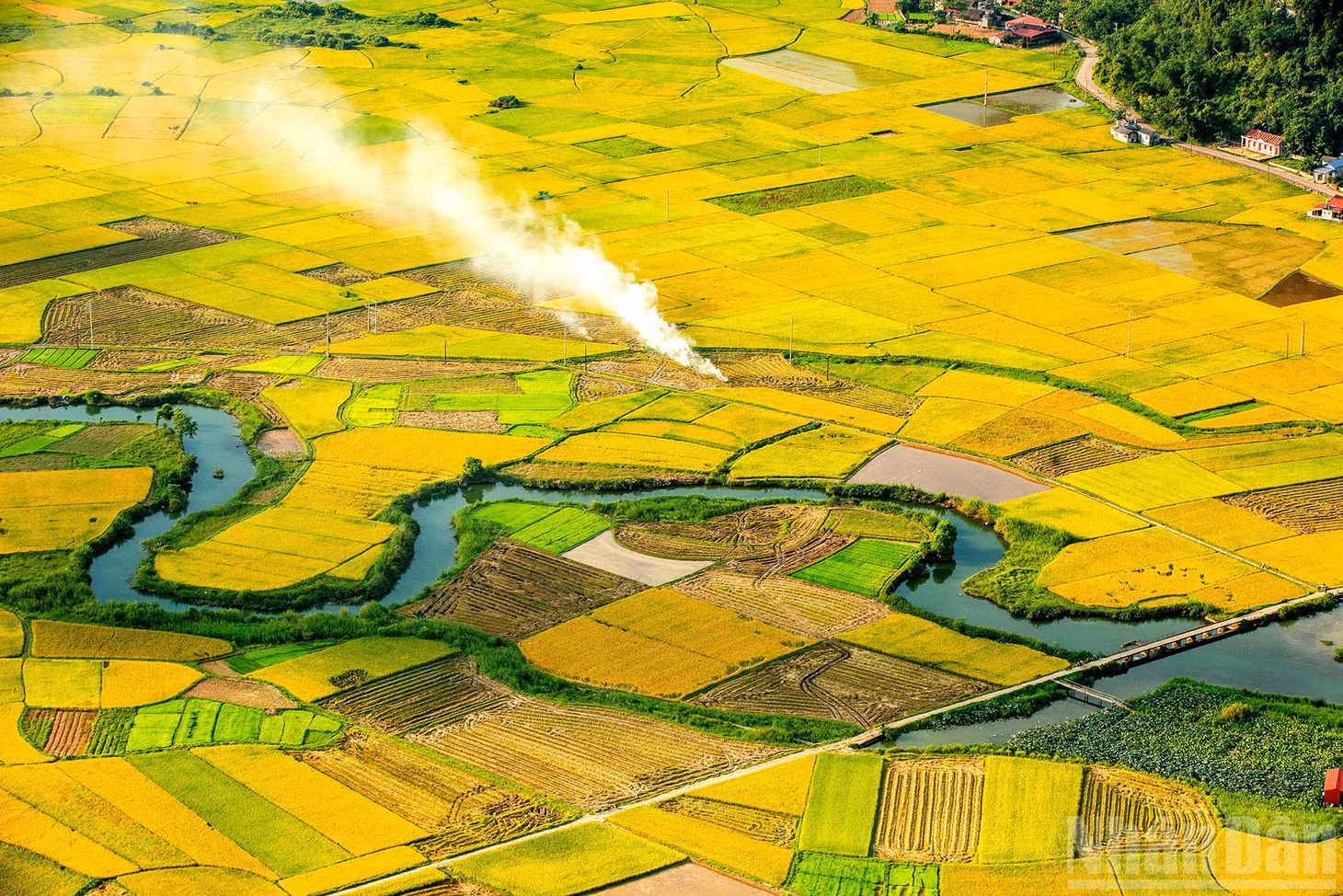 Mạch nguồn ấm no.