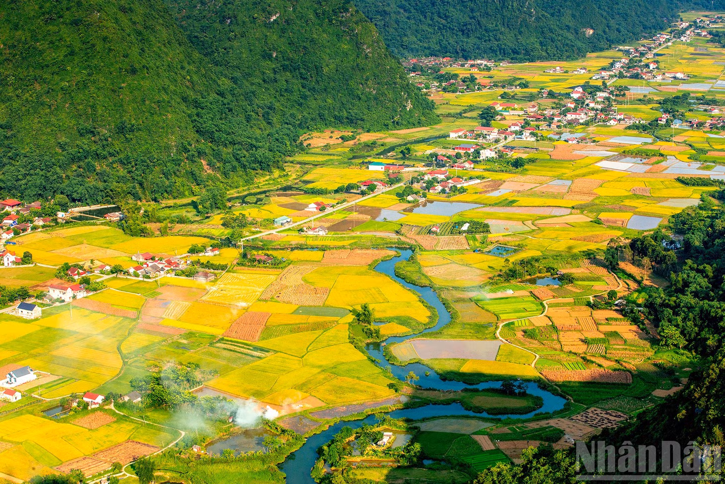 Bức họa vùng cao.
