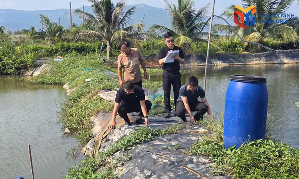 Cán bộ phường Hoàng Quế kiểm đếm hiện trạng ao, đầm của gia đình ông Nguyễn Văn Thọ, khu Yên Đức 3, bị ảnh hưởng bởi dự án.