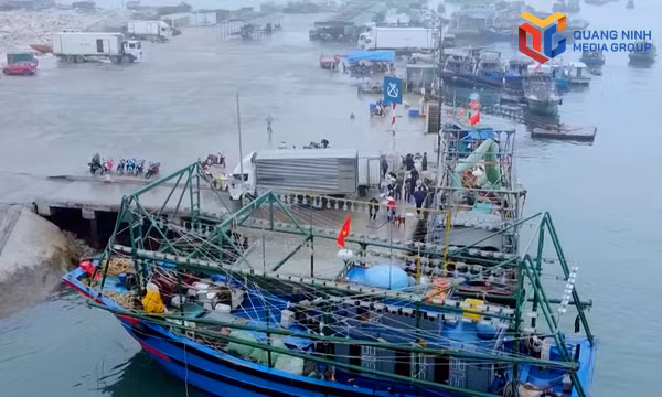 Đảm bảo hạ tầng cảng, bến nghề cá
