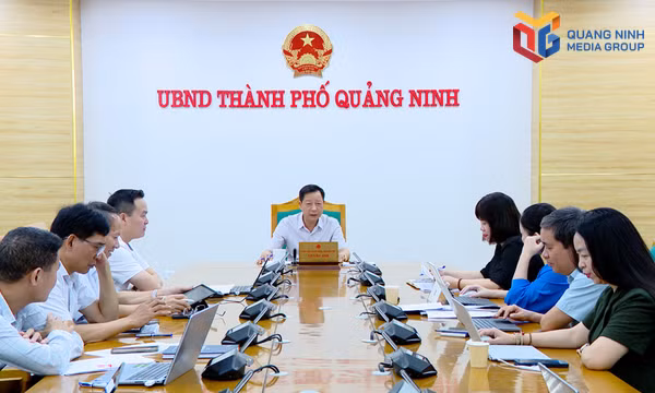 Hoàn thiện dự thảo Kế hoạch hoạt động đối ngoại năm 2027 bảo đảm tuân thủ quy định 