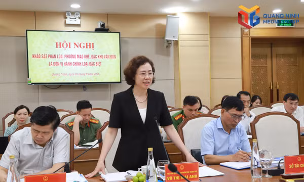 Xem xét phân loại Mạo Khê, Vân Đồn là đơn vị hành chính cấp xã loại đặc biệt