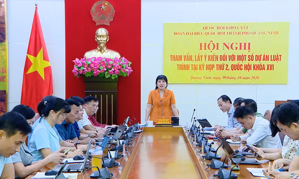 Đoàn ĐBQH thành phố tham vấn 4 dự án luật trình Kỳ họp thứ 2, Quốc hội khóa XVI