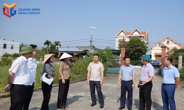  Phường Hà An: Quan lý, khai thác hiệu quả tài sản công sau sắp xếp