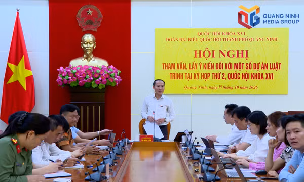 Đoàn ĐBQH thành phố tham vấn 4 dự án luật trình Kỳ họp thứ 2, Quốc hội khóa XVI