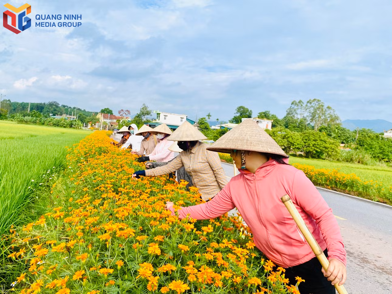 bqn_tl_thon-dong-thanh-1.jpg