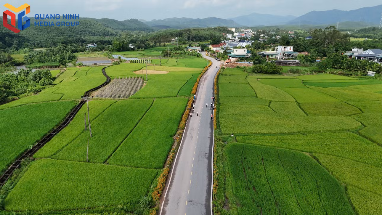 bqn_tl_duong-vao-dong-thanh.jpg