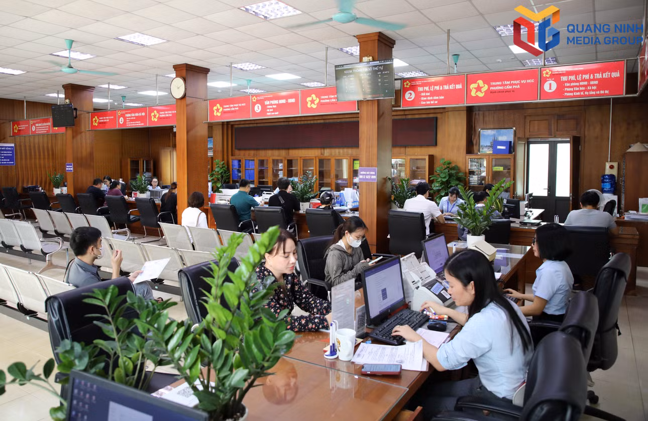 bqn_tr_1110-cp.jpg