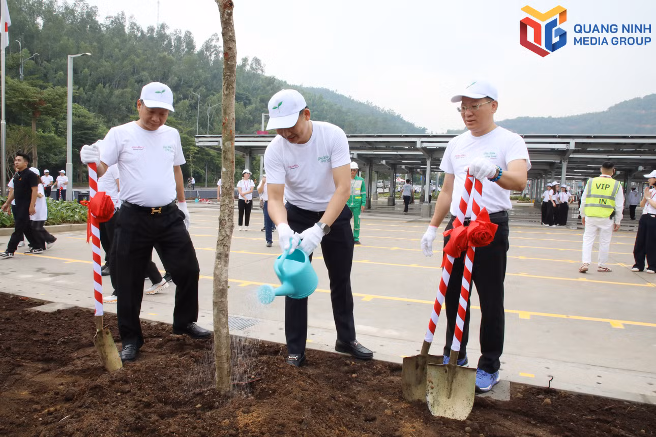 bqn_tr_1010-db-trong-cay-1062.jpg
