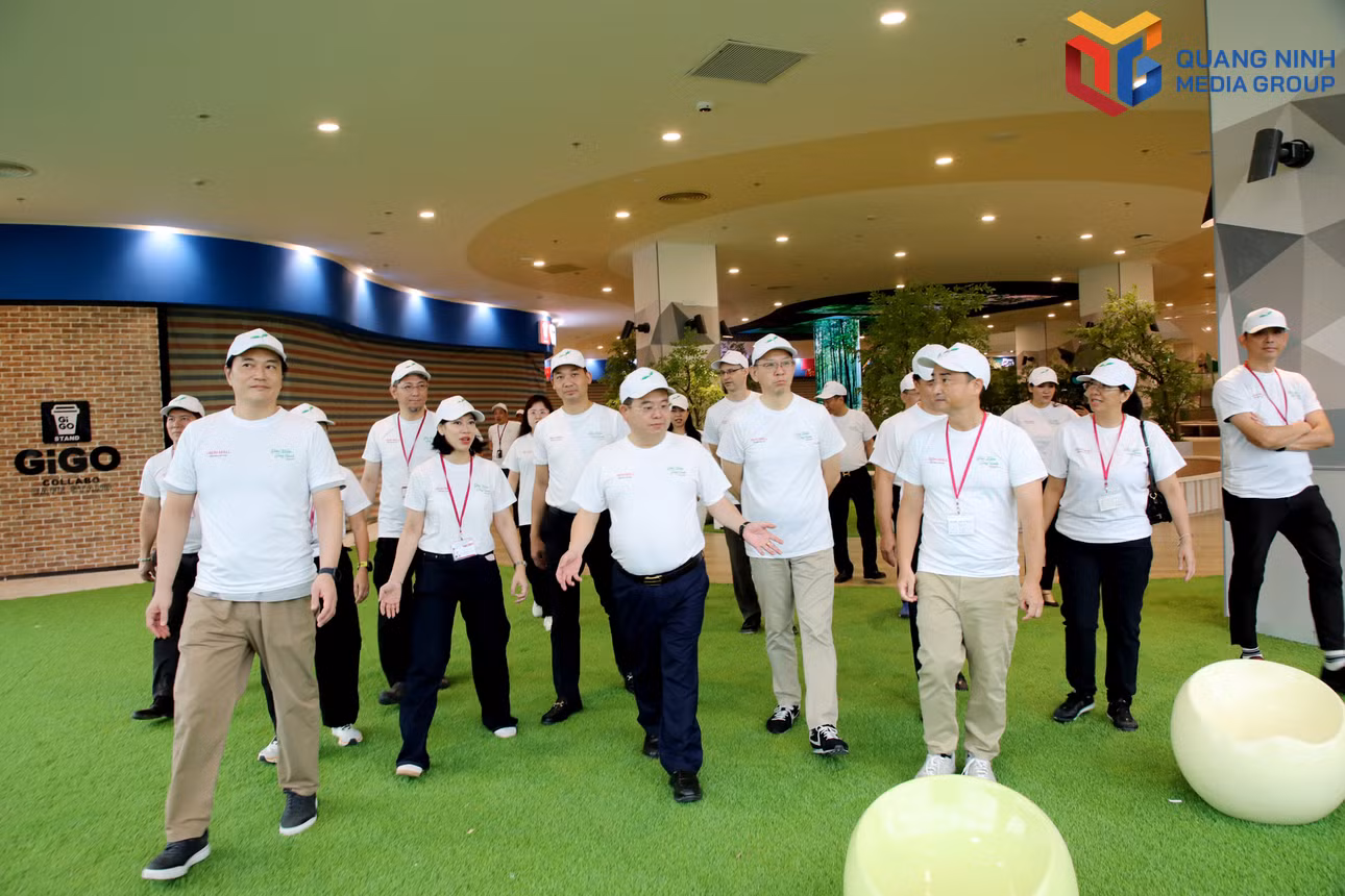 bqn_tr_1010-bt-kiem-tra.jpg