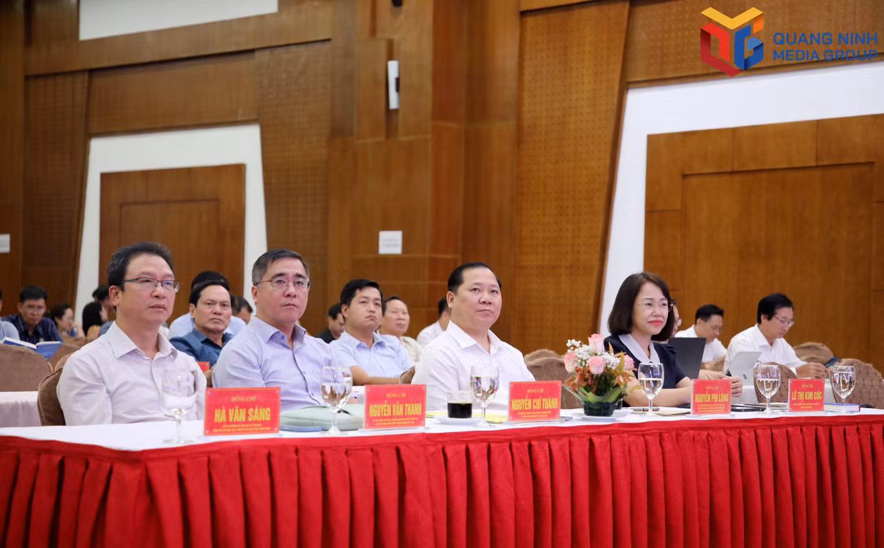 bqn_tr_2710-dai-bieu.jpg