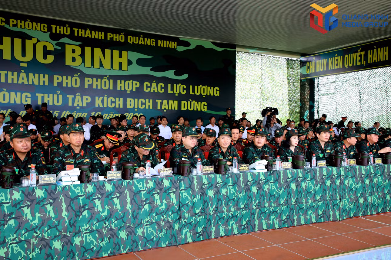 bqn_tr_1510-db-400.jpg