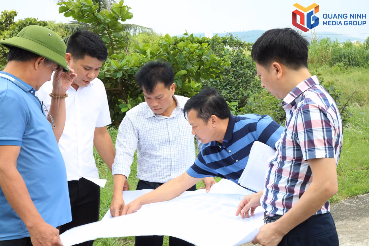 bqn_tr_phuong-cao-xanh.jpg