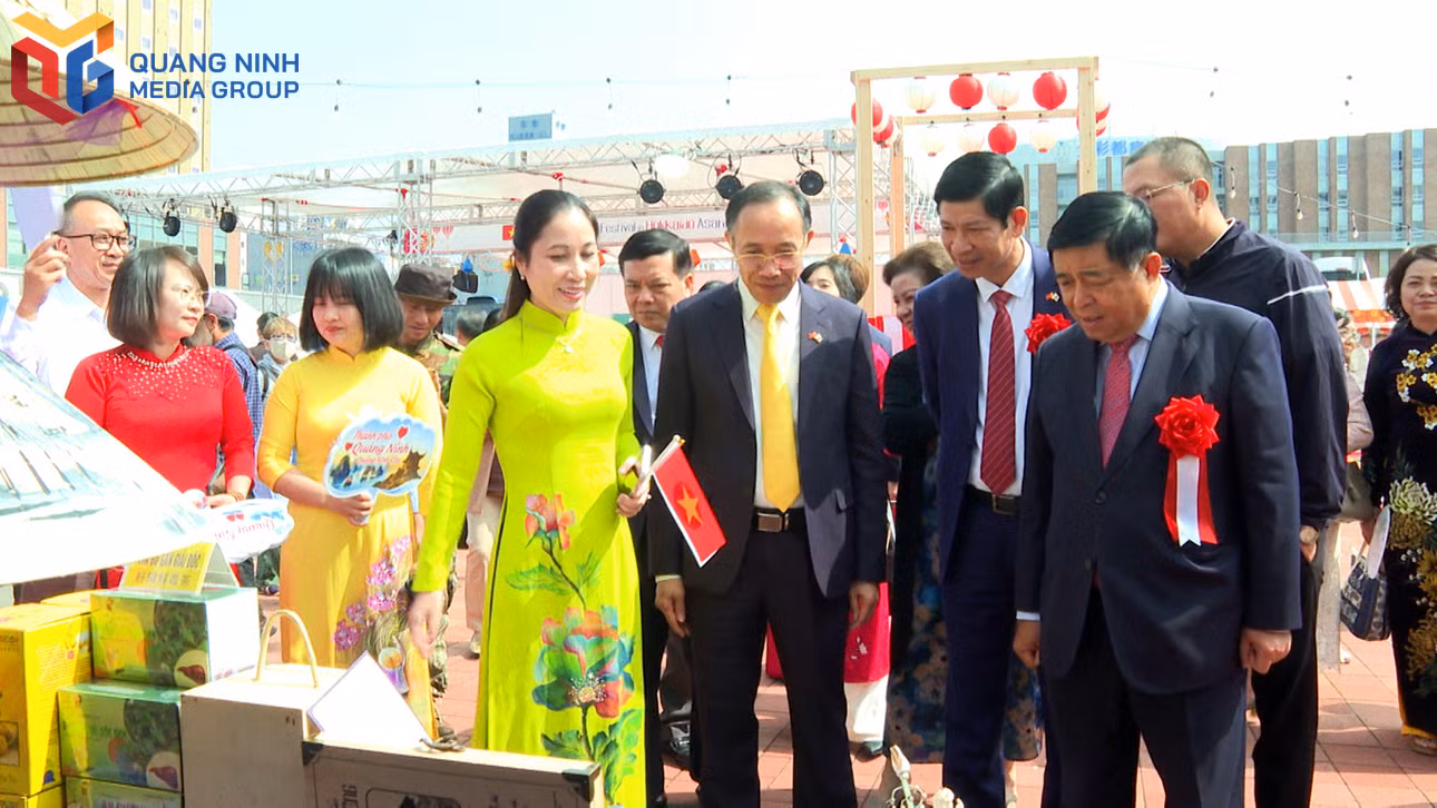 bqn_tl_anh-2.jpg