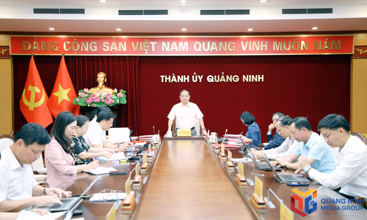 Ban Thường vụ Thành ủy cho ý kiến về nhiều nội dung quan trọng