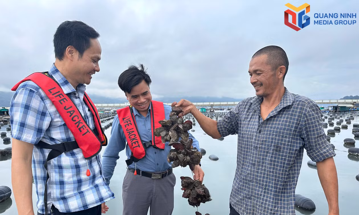 Tạo dư địa mới cho tăng trưởng nông nghiệp
