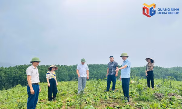 Nông dân Quảng Ninh đoạt giải tại Cuộc thi “Sáng tạo Kỹ thuật Nhà nông toàn quốc”