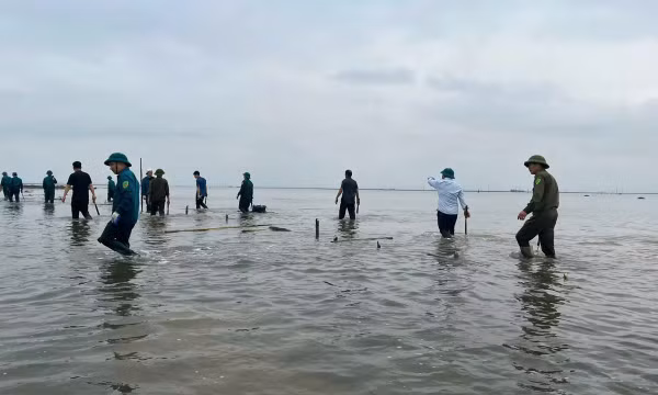Lập lại trật tự khu vực bãi triều