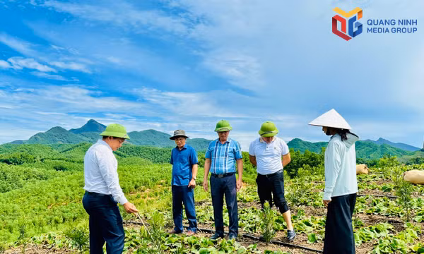 Nông thôn mới hiện đại: Khi người dân là chủ thể