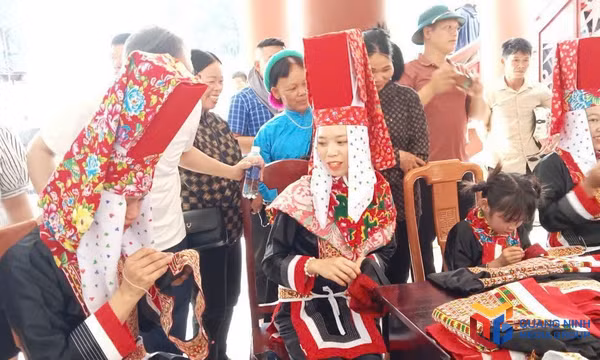 Động lực cho phát triển bền vững