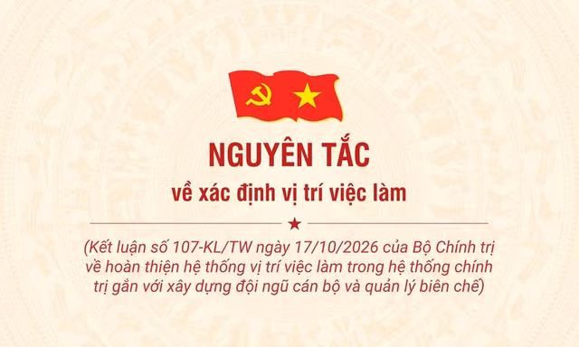 Nguyên tắc về xác định vị trí việc làm
