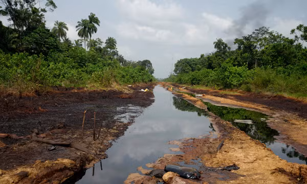 Hàng chục người thiệt mạng khi trộm dầu ở Nigeria do hít phải khí độc