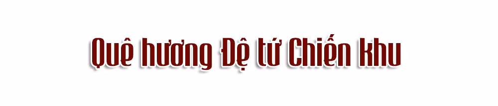 Ảnh trong văn bản