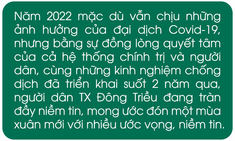 Ảnh trong văn bản