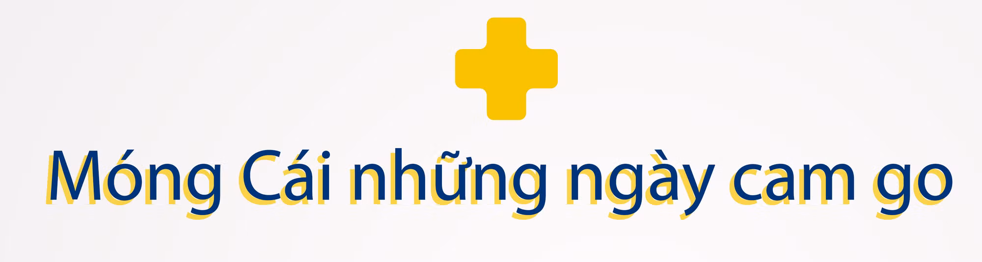 Ảnh trong văn bản