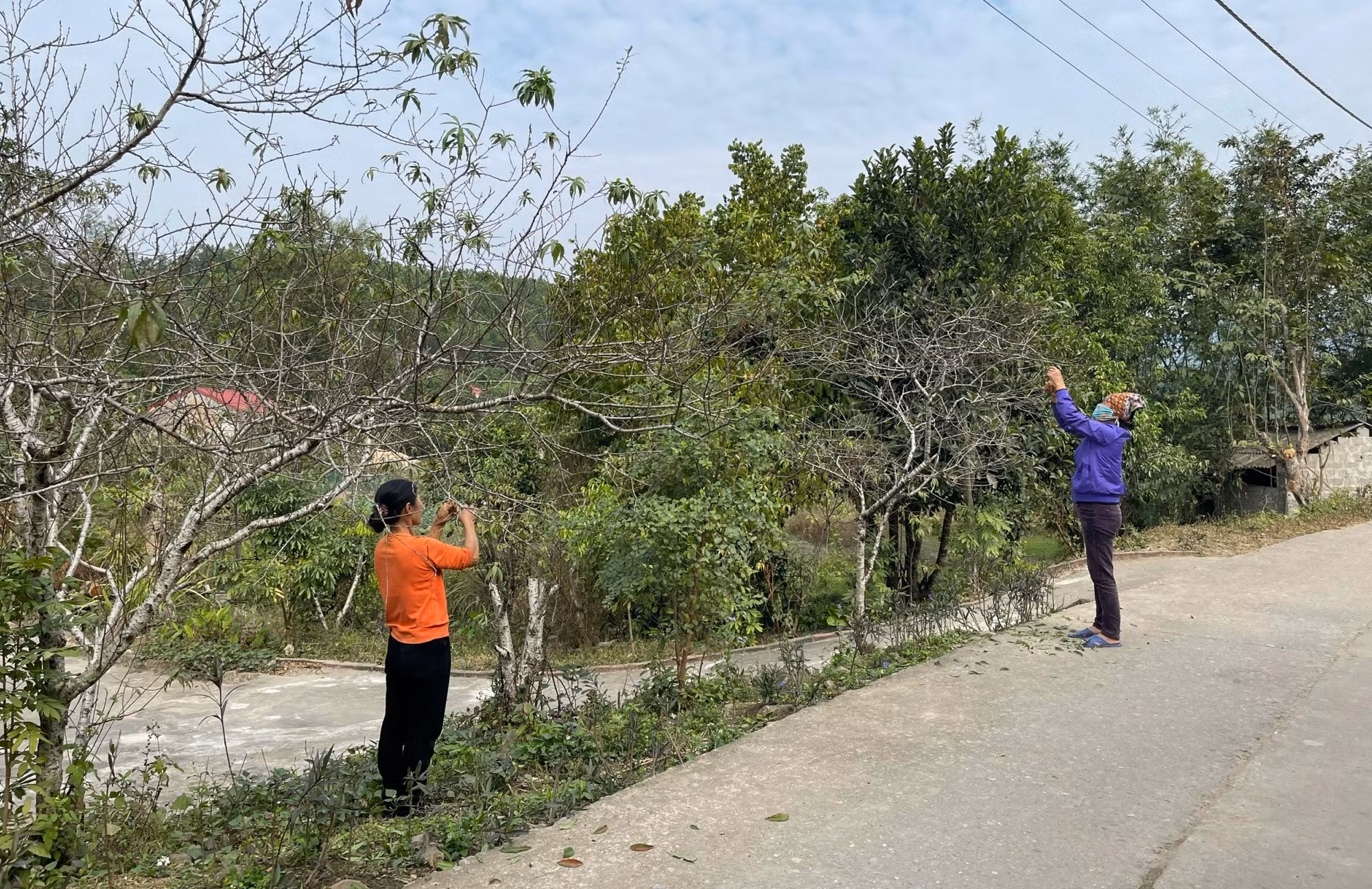 Ảnh với chú thích