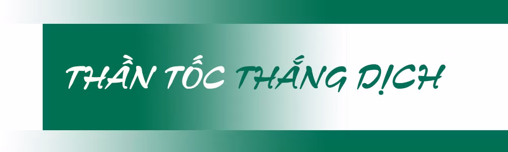 Ảnh trong văn bản