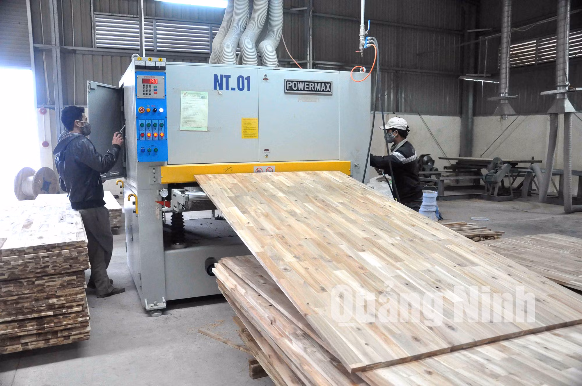 Sản phẩm ván ghép thanh được sản xuất tại Nhà máy. Ảnh: Thái Cảnh