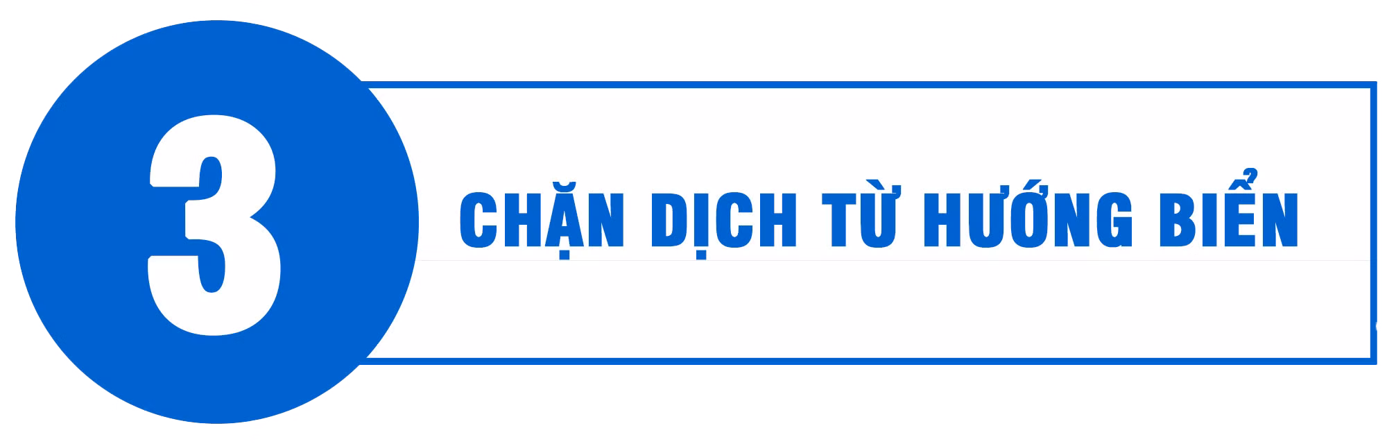 Quyết tâm giữ vững "địa bàn xanh" ảnh 11 Quyết tâm giữ vững "địa bàn xanh" ảnh 11