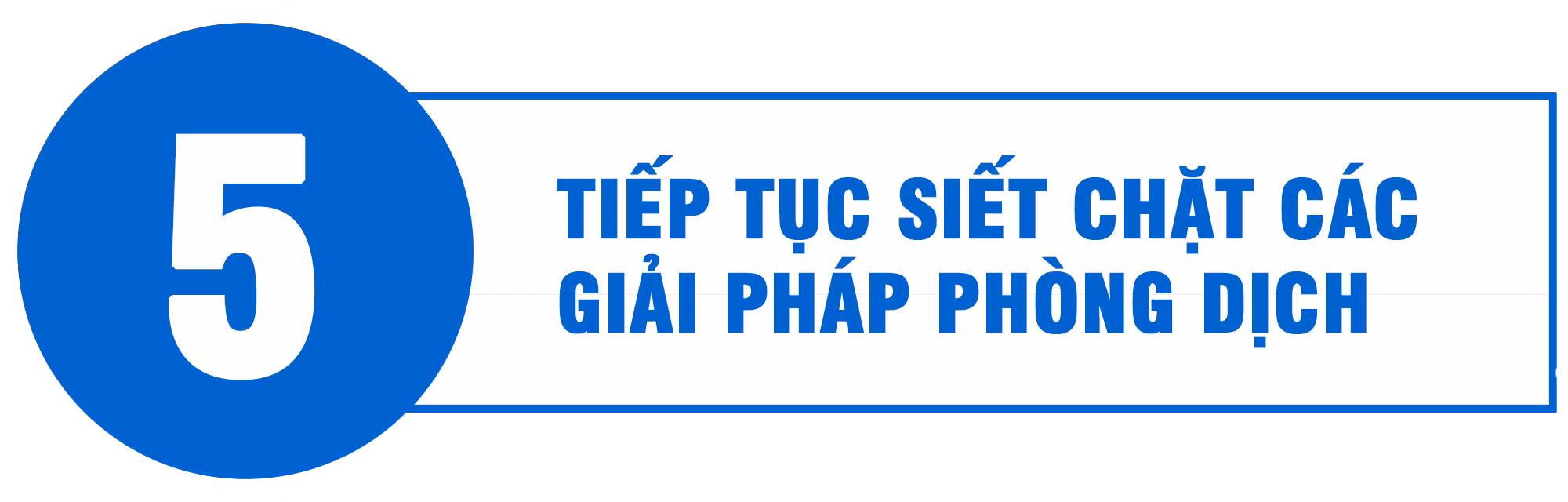 Quyết tâm giữ vững "địa bàn xanh" ảnh 22 Quyết tâm giữ vững "địa bàn xanh" ảnh 22