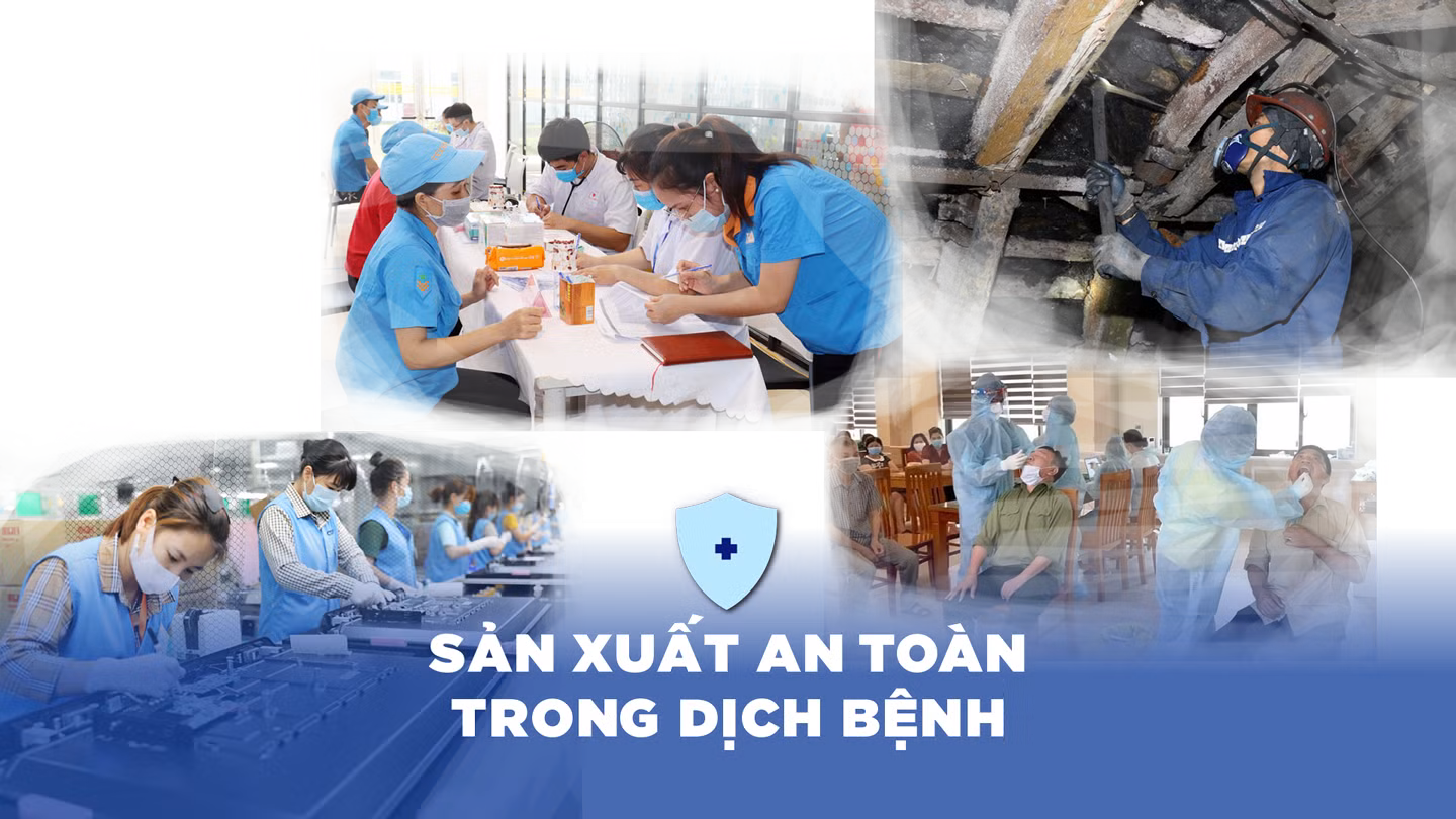 Sản xuất an toàn trong dịch bệnh ảnh 1