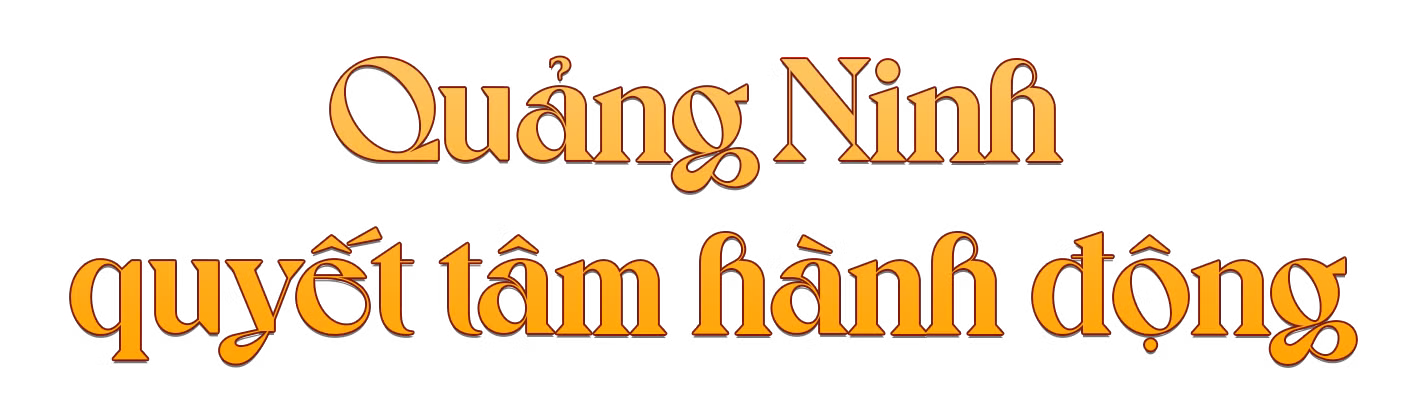 Ảnh trong văn bản